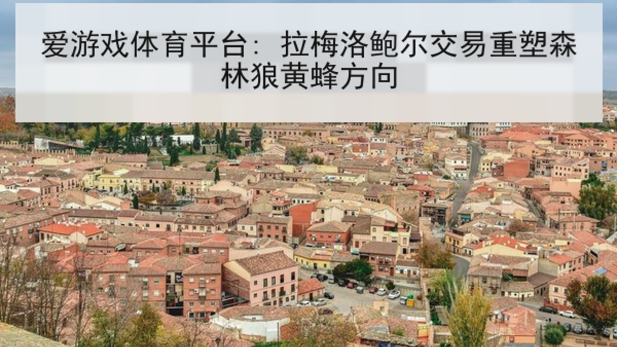 爱游戏体育平台: 拉梅洛鲍尔交易重塑森林狼黄蜂方向