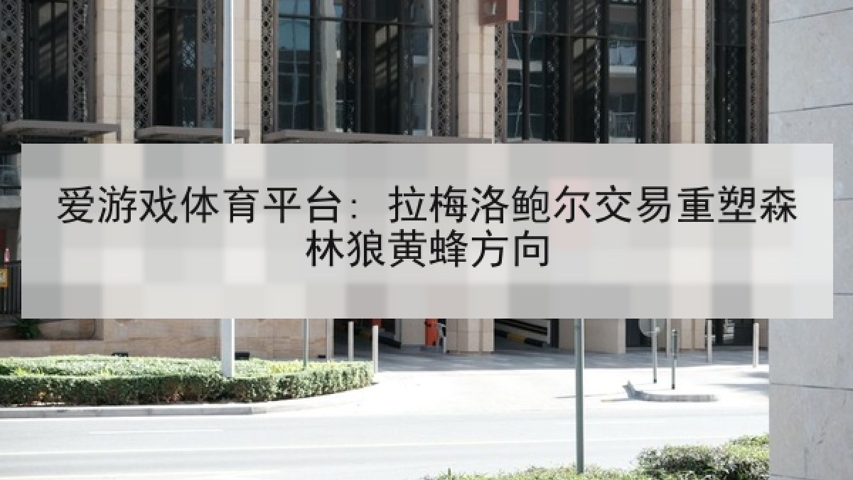 爱游戏体育平台: 拉梅洛鲍尔交易重塑森林狼黄蜂方向
