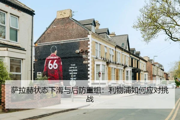 sa-la-he-zhuang-tai-xia-hua-yu-hou-fang-chong-zu-li-wu-pu-ru-he-ying-dui-tiao-zhan-3-744.jpg