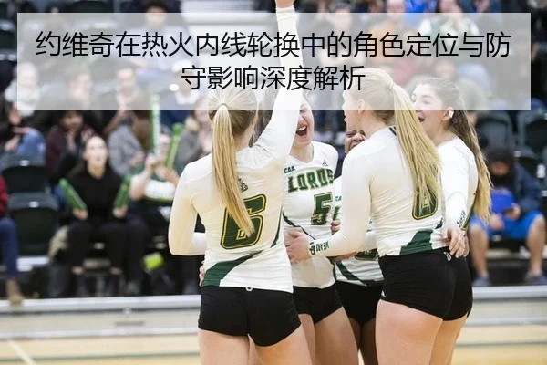 约维奇在热火内线轮换中的角色定位与防守影响深度解析