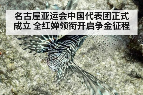 名古屋亚运会中国代表团正式成立 全红婵领衔开启争金征程